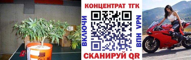 ТГК Wax  Пойковский 